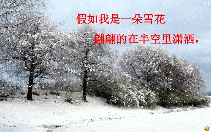 雪花的快乐，雪花的快乐作者是谁