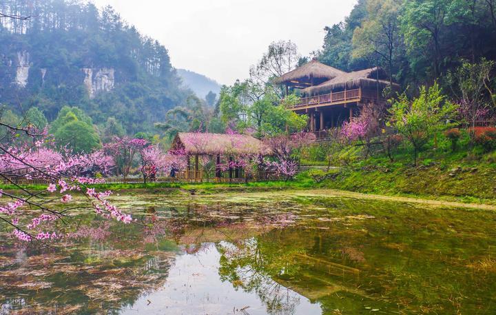 爱在桃花源，爱在桃花源里蹦蹦跳跳？