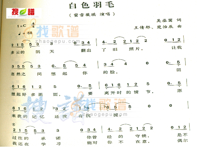 白色羽毛歌词？白色羽毛歌词是什么歌？