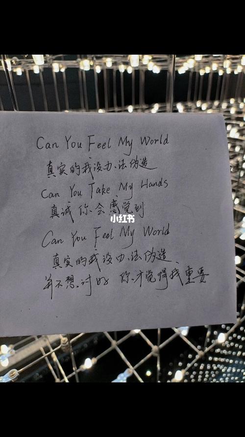 canyoufeelmyworld，canyoufeelmyworld歌词背景！